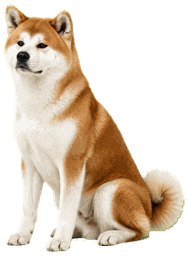 秋田