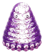 水蛭